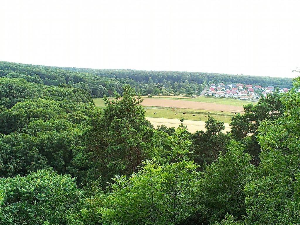Mullers Hotel & Restaurant Erfurt Bilik gambar